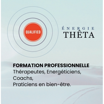 Formation professionnelle...